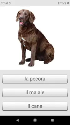 Learn Italian words with SMART-TEACHER android App screenshot 3